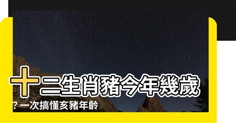 豬年出生的人|屬豬今年幾歲？2024屬豬生肖年齡對照表！屬豬性格特質